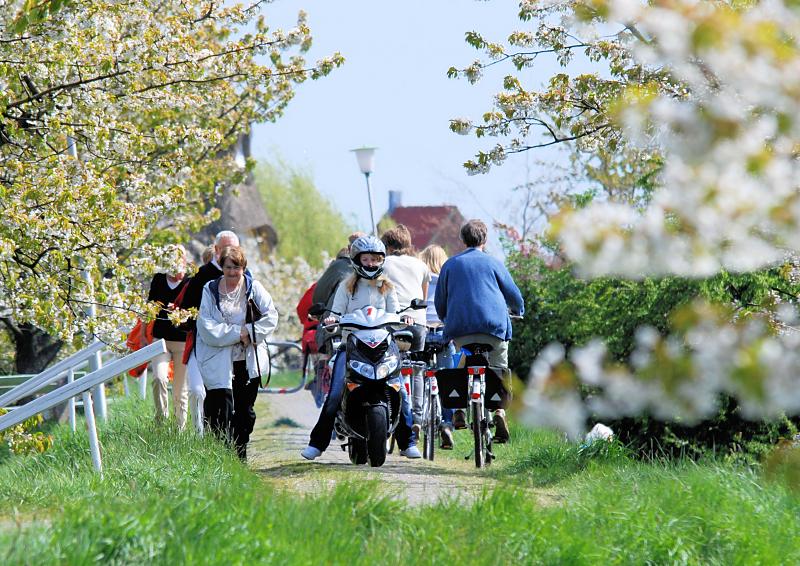 2710_2301 Obstblüte - Ausflugsgebiet Altes Land; Fussgänger, Fahrradfahrer, Motorradfahrer auf dem D | Fruehlingsfotos aus der Hansestadt Hamburg; Vol. 2